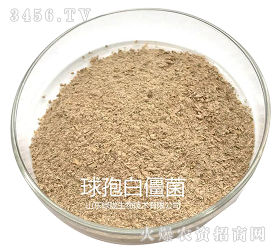 �׽���-�G�]����