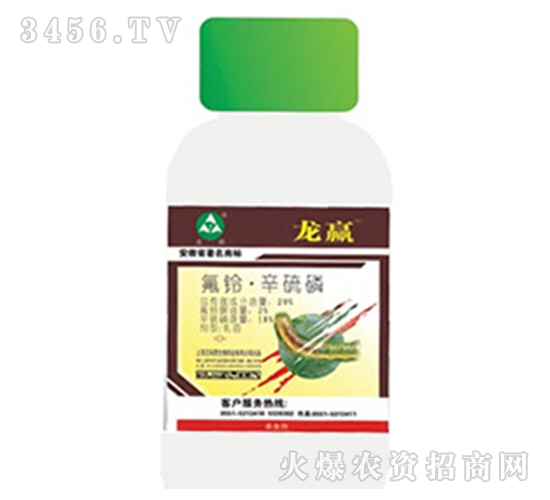 ���ᡤ����������-���A-��������