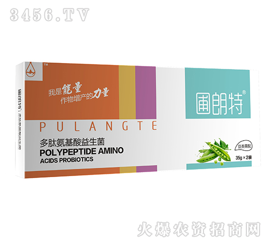 �������-���İ�����������-������