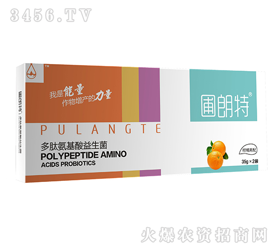 ��������-���İ�����������-������