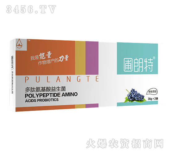 ��������-���İ�����������-������