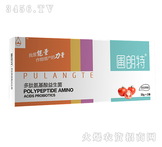 ��������-���İ�����������-������