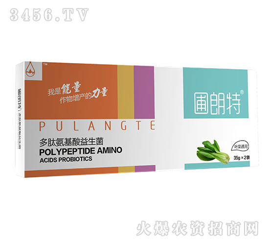 �~��ͨ��-���İ�����������-������