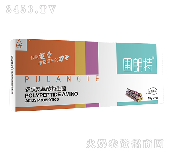 ��������-���İ�����������-������