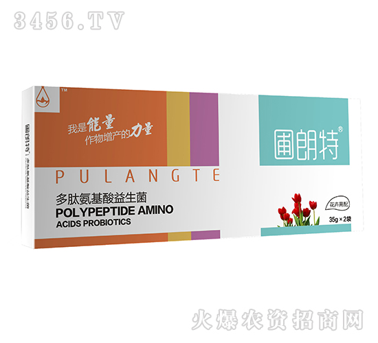 ��������-���İ�����������-������