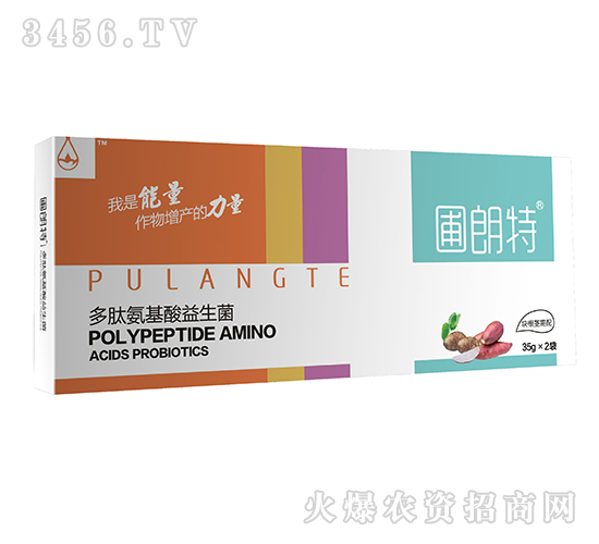 �K���o����-���İ�����������-������