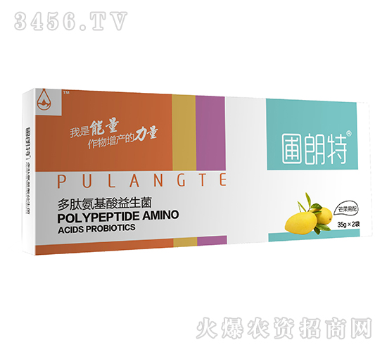 â������-���İ�����������-������