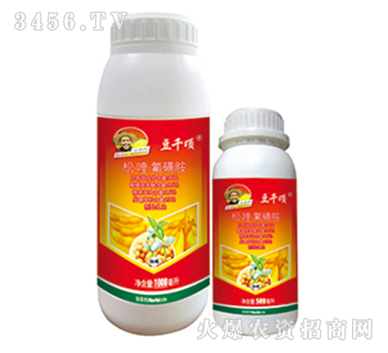 35%�ɡ�ୡ����ǰ�����-��ǧ�-�G�µ�