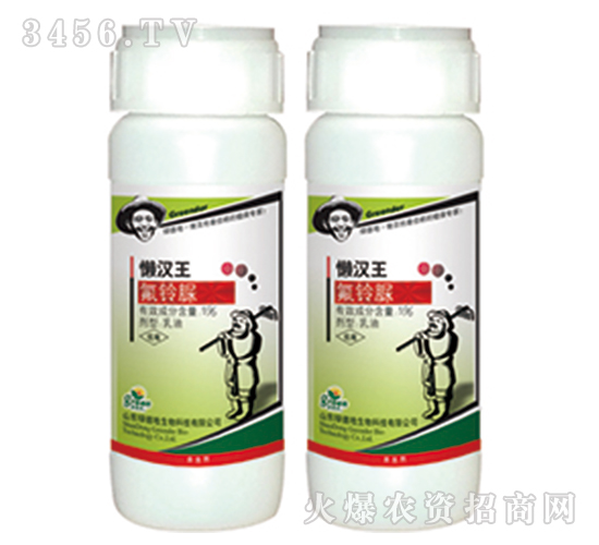 5%���������-�Нh��-�G�µ�