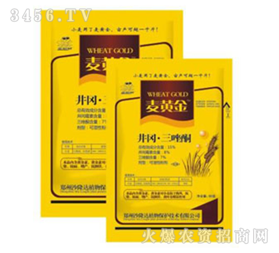 ����������ͪ������-���S��-ɳ¡�_