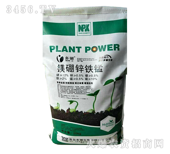 �V���\�F�i-���P����