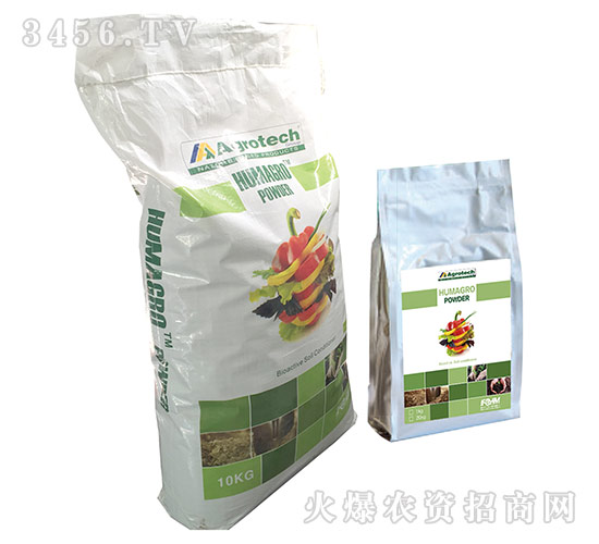 ������Ч��-��(y��u)����-����̩��