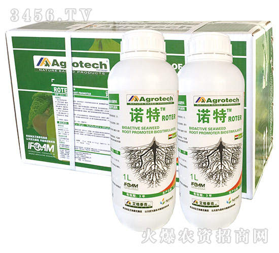 ������-�Z��-����̩��