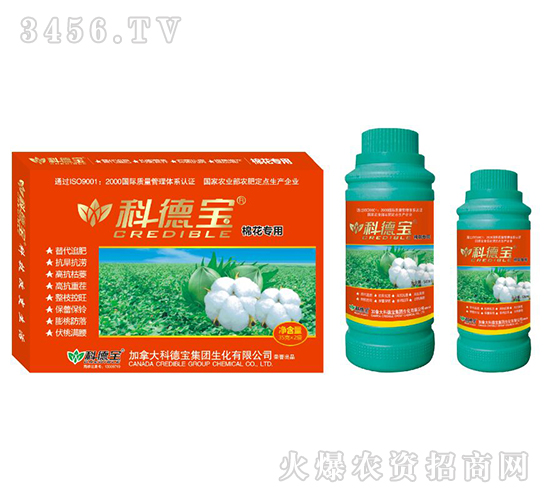 �޻����àI(y��ng)�B(y��ng)���a(ch��n)�{(di��o)�턩-�Ƶ�