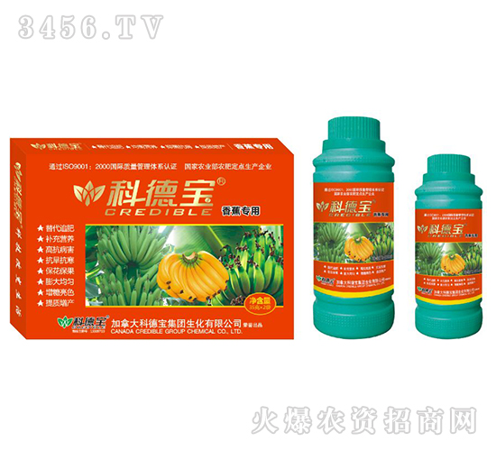 �㽶���àI�B(y��ng)���a�{�턩-�Ƶ�