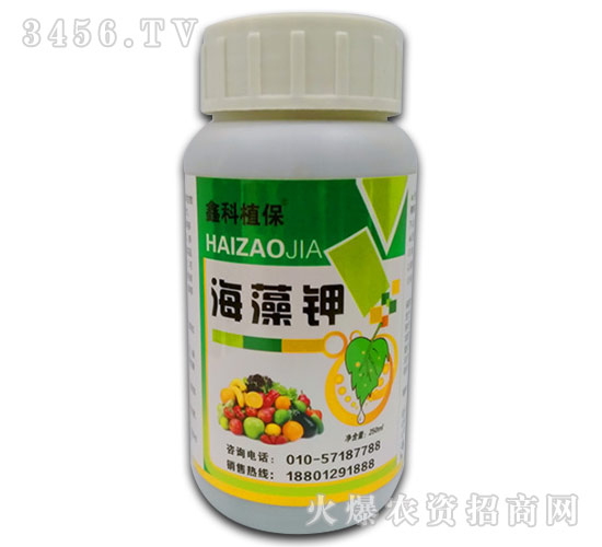 �����-�ο�ֲ��