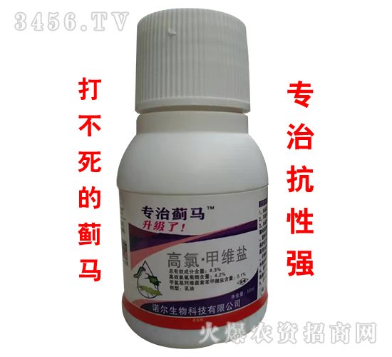 ���ȡ��׾S�}-�����E�R-�Z������