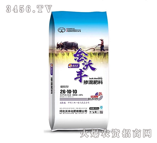 ����͓������26-10-10-�����S