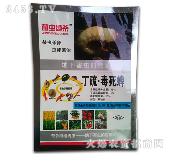 15%���򡤶������w����-���x�^��-���r(n��ng)�I(y��)