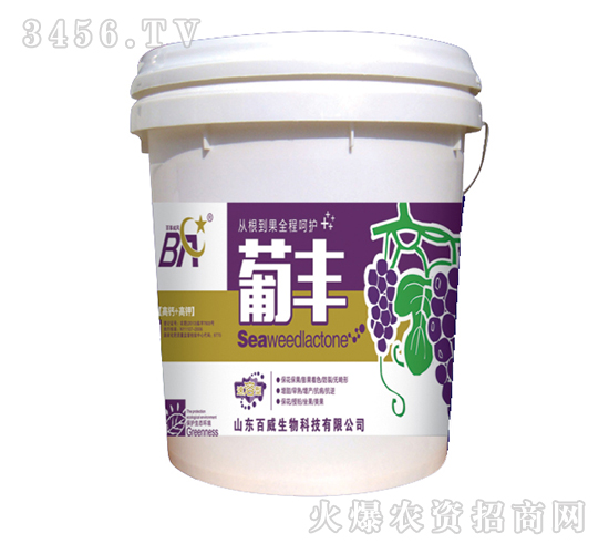 �ݲ�ѿ�ߗU��-���S-�������L(f��ng)