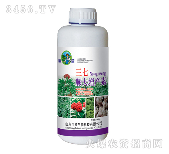 ������a(ch��n)��-��(y��u)��-��������