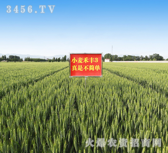 ���S3̖(h��o)��һ��