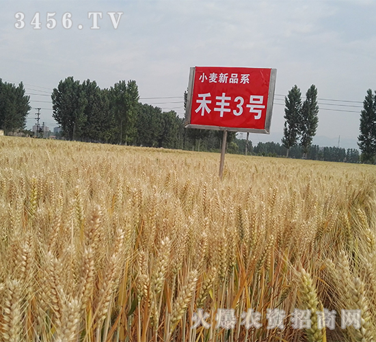 ���S3̖(h��o)���壩