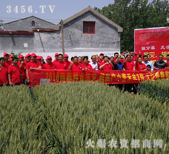 ���S3̖���ţ�