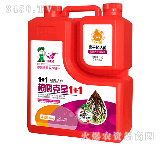 ��������1+1-�����_(d��)�r(n��ng)