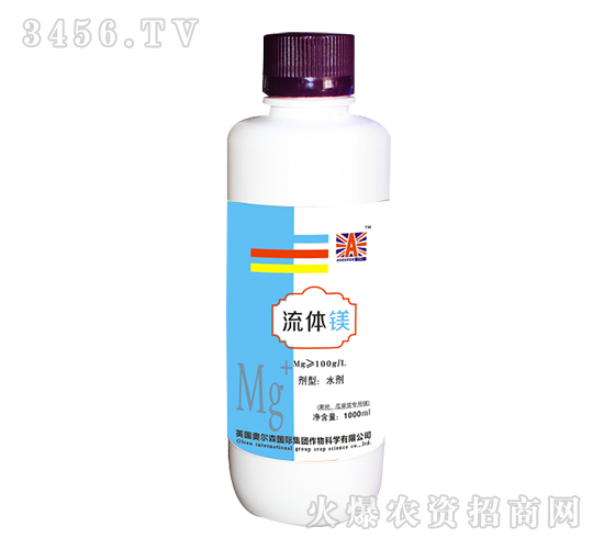 ���w�V-Ӣ��(gu��)�W��ɭ