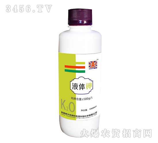 Һ�w�-Ӣ��(gu��)�W��ɭ