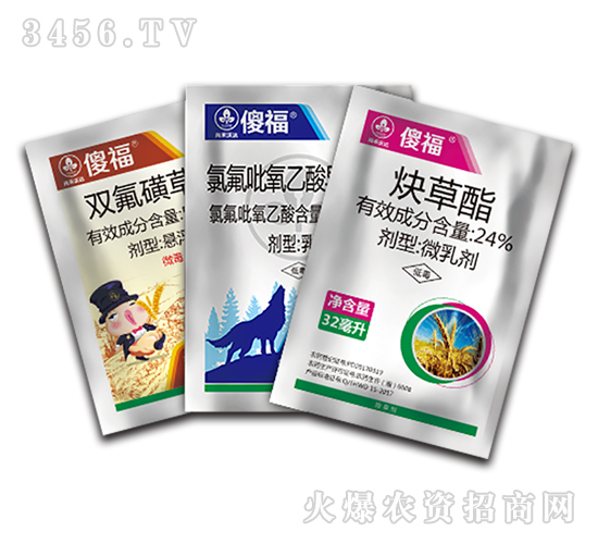 С������݄��M�����b-ɵ��-�к����_(d��)