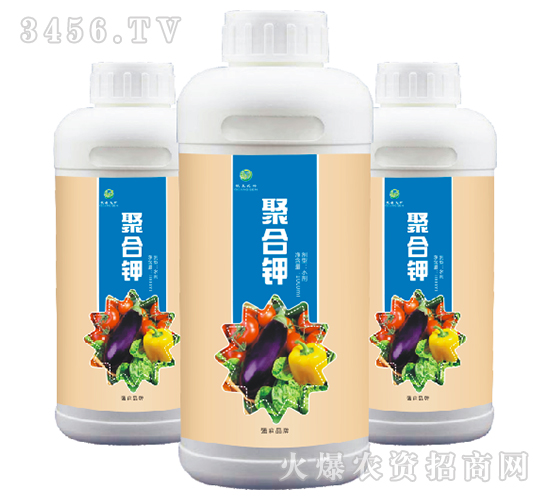 �ۺ��-��ɭ�r��