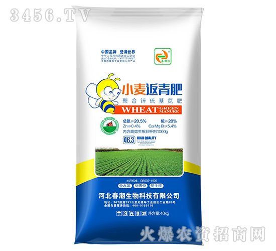 С�������-�����t-��������