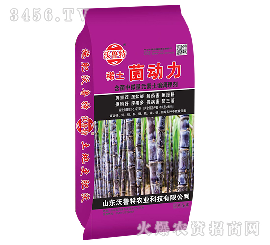 ϡ�������������ጣ�ã�-������