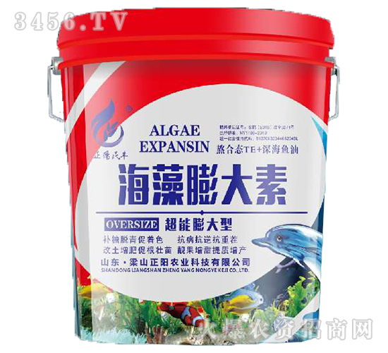 ���������-����r(n��ng)�I(y��)