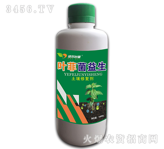 �����ޏ�(f��)��-�~�ƾ�����-�°��r(n��ng)