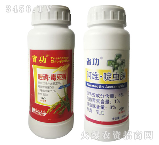 ���S����x(ch��ng)��+���ס�������-ʡ��-����