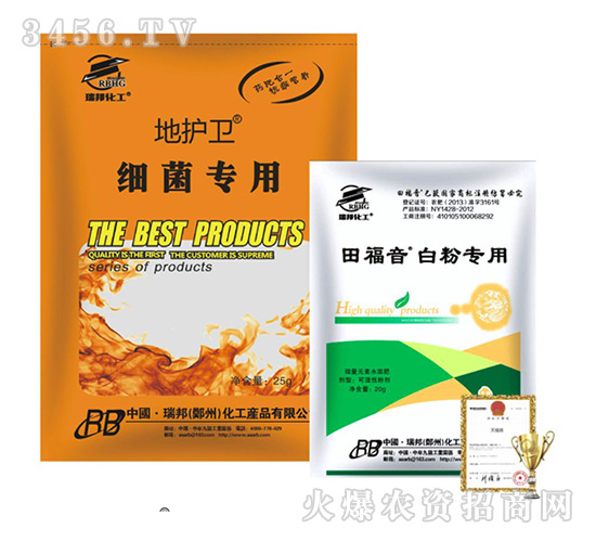 �︣��+���o�l(w��i)-����