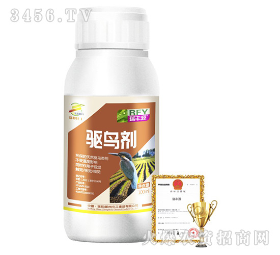 ��B��-���SԴ-����