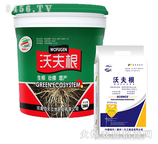 �ַ��-����