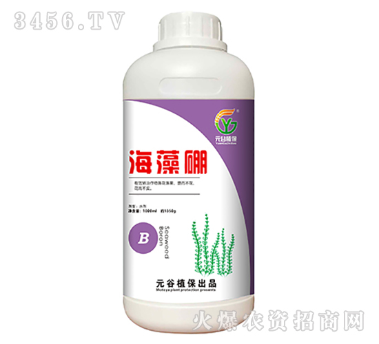 ������-Ԫ��ֲ��