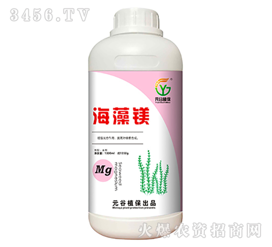 �����V-Ԫ��ֲ��