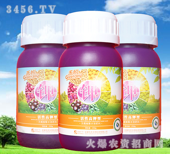 ���Ը�⛷�-�̐�-��������