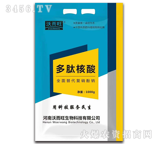 ���ĺ���-�ֶ���