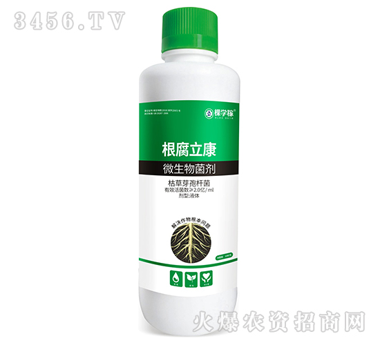 ��������-�ÌW��