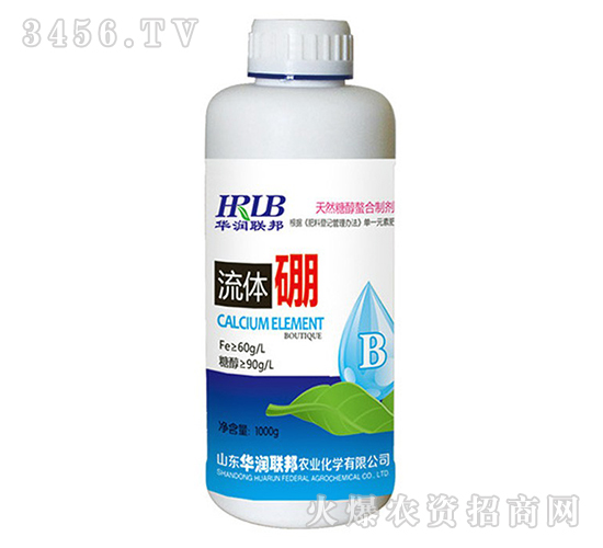 ���w��-�A��(li��n)��