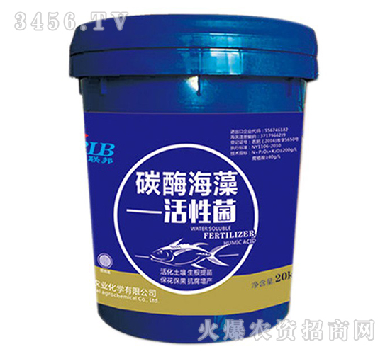 ̼ø������Ծ�-�A���s��