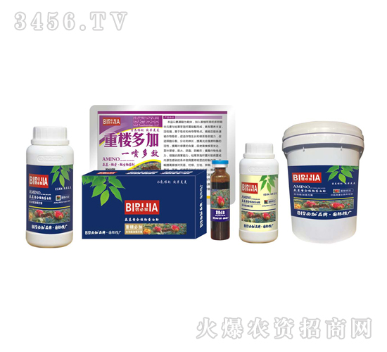 �ؘǱؼ�-�κ�����