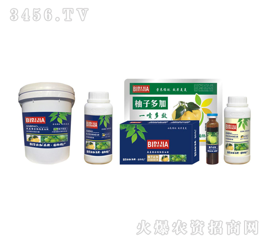 ���ӱؼ�-�κ�����